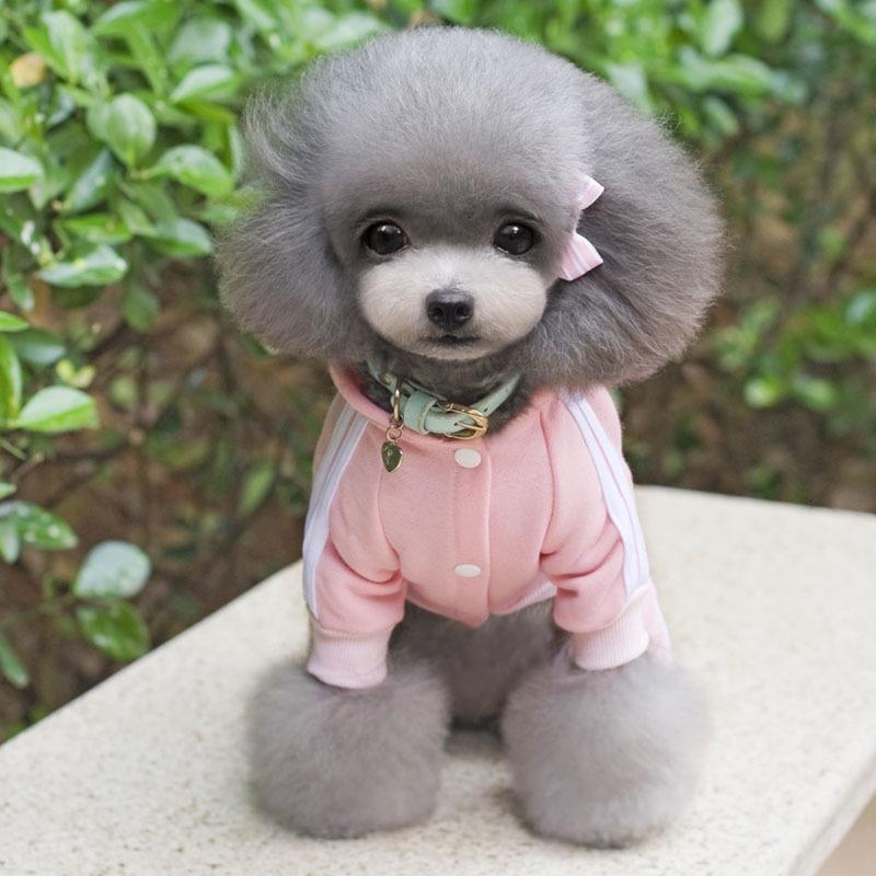 Одежда для собак, теплый комбинезон для собак, кошка, щенок, уличная спортивная одежда, утепленная толстовка с капюшоном для домашних животных, пальто, наряд