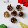 Natural Pine Cone for Christmas Tree Decoration (Pack of 6) | Christmas Ornaments Props