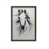 Subtle Elegance of the Horse Subtle Elegance of the Horse, 30X40 Cm, White Wooden Frame, 230 Gsm Matte Paper