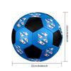 РАЗМЕР 5 Футбольный мяч SC Heerenveen Цветной Для всех возрастов Машинная строчка ПВХ Готов к соревнованиям Прочный Высокий отскок