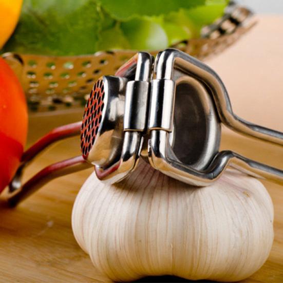 Пресс для чеснока, ручная дробилка для имбиря, нержавеющая сталь, давилка для чеснока и имбиря для домашней кухни
