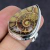 Natural Ammonite Fossil Gemstone 925 Sterling Silver Jewelry Ring Size 8.5 M9z20