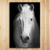 HAOSHUNDA настенные художественные принты, художественные принты, настенная живопись, белая лошадь, изображение животного для гостиной