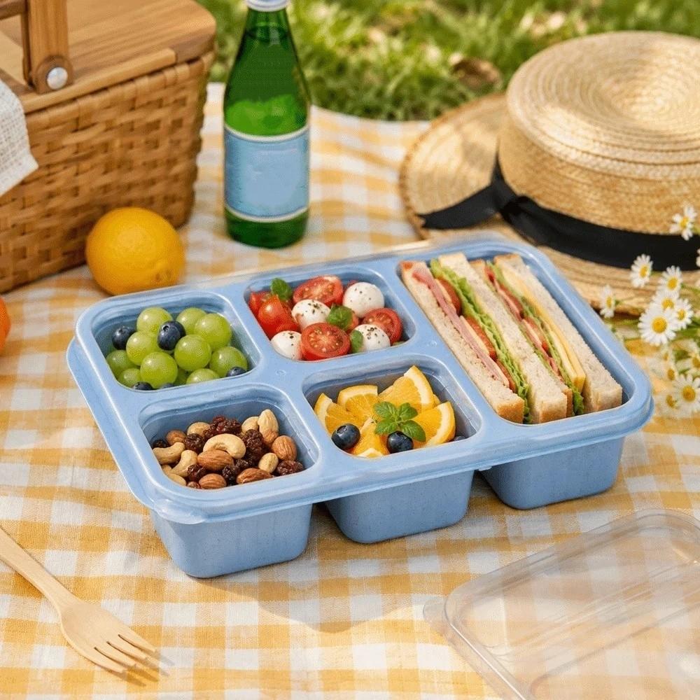 Plastic Fruits Box Transparent Lid Food Storage Box Fresh-keeping Lunch Box Students