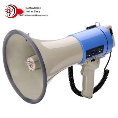 Громкоговоритель Lei Gong Wang CR-81 50 Вт, штекер CN (адаптер в комплекте)