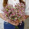 Одиночная ветка цветная миланская гипсофила Femtive искусственный цветок поддельный цветок оптом свадебный букет свадебный набор ручная работа DIY