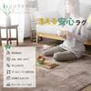 Replaquol Carpet Rug, 200x250cm (approximately 3 Tatami Mats), Washable, Non-Slip, Antibacterial, Odor Resistant, Dust Mite Resistant, All-Season, Com