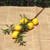 1/3/5/10pcs Simulation Lemon Branch Artificial Flowers Home Photography Props Fake Plants Lemon Fruit Home Flower Arrangement