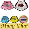 Шорты для тайского бокса, кикбоксинга, смешанных боевых искусств, ретро-винтажные штаны с принтом 3D, эластичная талия, боевые искусства, быстросохнущие, унисекс, для мужчин и женщин