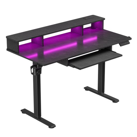 Standing Desk Electric Desk 48" x 24" Height Adjustable Gaming with Power Outlets & LED Lights Ergonomic Sit Stand Up Down Computer Table