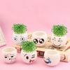 Держатель для ручек на столе и милые цветочные горшки с дренажным отверстием идеально подходят