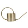 Long Spout Watering Can Gold Plant Watering Can Durable Decorative Watering Can  For House Plants