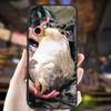 Carp Fishing Fish Case For Samsung Galaxy A34 A06 A05 A32 A16 A55 A36 A26 A54 A14 A22 A52 A35 A15 A53 A13 A56