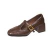 Mary Jane Shoes Women's Autumn New Brown Retro Small Leather Shoes Temperament Thick Heel One-word Buckle Single Shoes