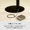 Denkyosha ZEPEAL Stick Vacuum Cleaner Stand, Storage, Easy Assembly, Slim, Dyson Compatible, DCS-M10N-BK