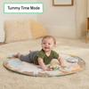 Play mat Ingenuity WonderWood 81,3 x 81,3 x 47 cm Multicolour