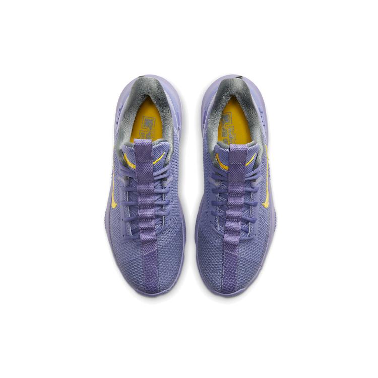 Nike Ambassador 13 'Lakers' CQ9329-500