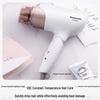 Panasonic EH-WNE6A Negative Ion Hair Dryer CN plug (adapter included)
