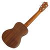 ARIA ACU-1K Concert Ukulele with Koa Back