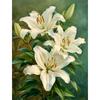 5d DIY Diamond Painting Cross Stitch Lily Handicrafts Plants Flowers Diamond Embroidery Mosaic Home Decor
