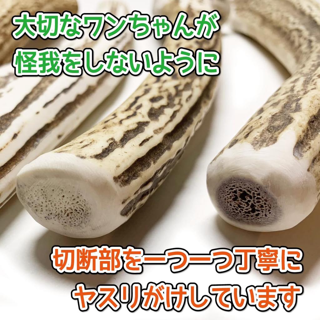 Shikakusan Deer Antler Dog Toy for Large 1 Hokkaido Ezo Dental 1 Large Piece Dogs, Unbroken, Piece, Deer, Natural, Additive-Free, Ozone-Treated, Care,