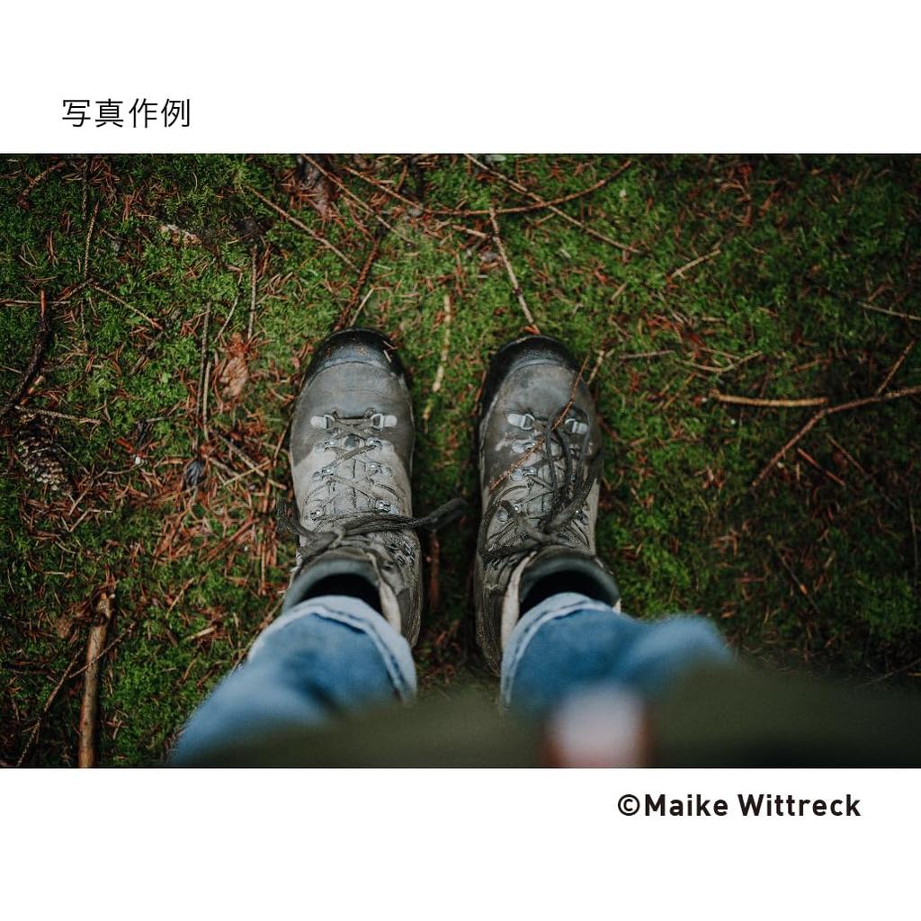 Sigma SIGMA Sigma Sony Lens 50mm DG DN Single Focus Standard Full Size Art Mirrorless Dedicated E-Mount F1.4