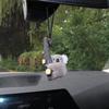 Плюшевая коала для зеркала заднего вида, милое украшение для автомобиля, рюкзака, подвески в виде животных, очаровательный домашний декор