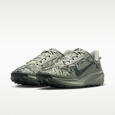 Мужские кроссовки Nike ACG Pegasus Trail 'Spruce Fog'