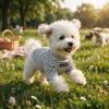 Warm Dog Base Coat High Collar Striped Sweatshirt Dog Clothing Dog Thermal Shirt  Small Medium Dog