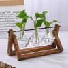 Planter Hydroponic Plant Vases Wooden Frame Bonsai Flower Pot Decoration Glass Vase