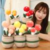 25cm Lifelike Mushroom Plants Plush Toys Soft Funny Bookshelf Decor Doll Creative Potted Bear Paw Pillow Home Decor Kids Gift