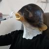 Реалистичные латексные маски с рыбой для взрослых, маска для головы животного, костюм на Хэллоуин, головные уборы, реквизит, маскарад, вечерние декорации