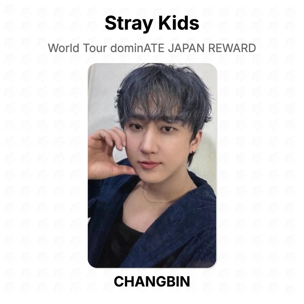 Stray Kids Мировой тур dominATE JAPAN REWARD Официальная фотокарточка