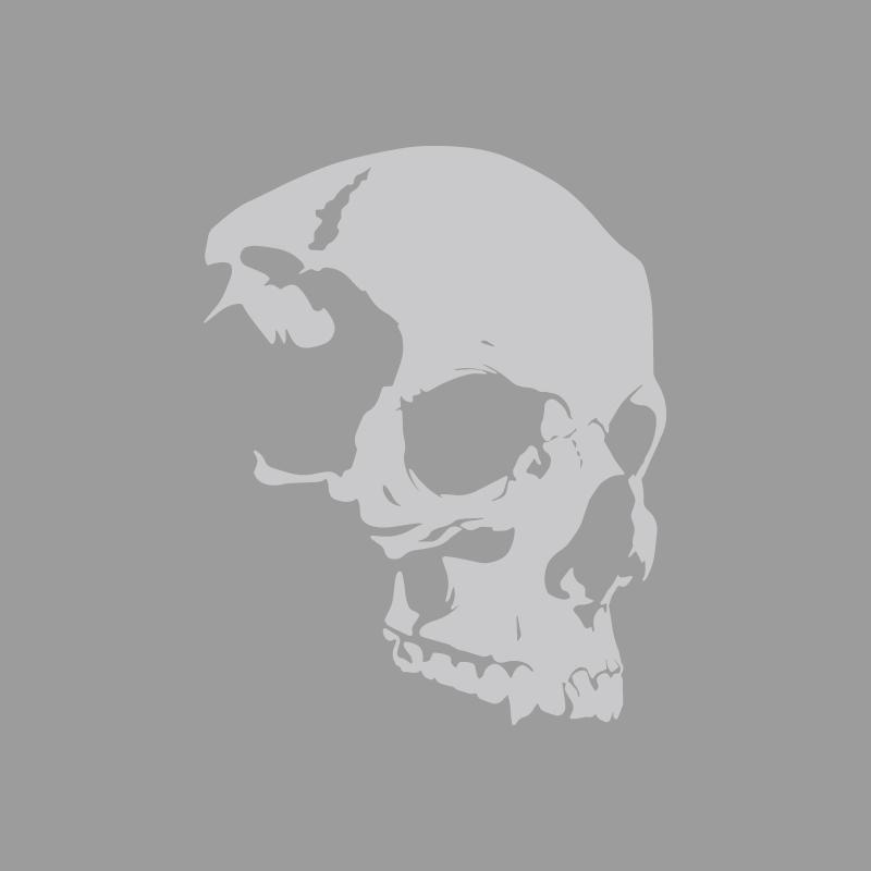 Расширенная текстура скелета черепа Дизайн приключений на открытом воздухе, наклейки для приключений на открытом воздухе украшения на природную тематику прочный винил