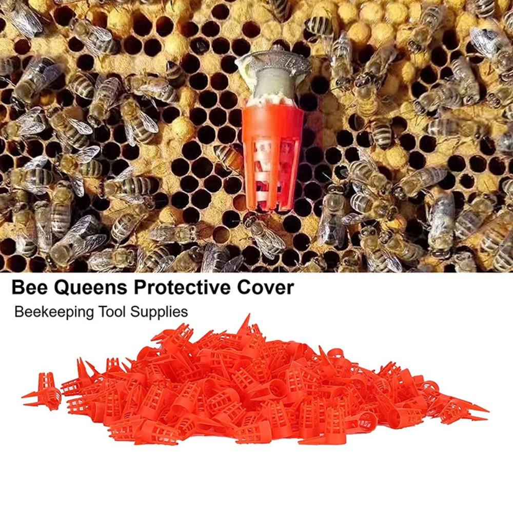 20 шт. колпачков для пчелиных маток с раздвоенными колючками, защитные инструменты для пчеловодства, безопасные крышки для клеток для пчеловодства