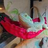 Decorative Reptile Hammock Cotton Lizard Swing Toy  For Snakes Geckos Hamster Lizard