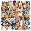 50Pcs/Set Cats & Dogs Series 01 Stickers DIY Fashion Waterproof Doodle Decals Stickers