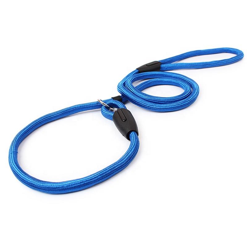 Durable Polyester Nylon Dog Leash Slip Lead Pet Outdoor P Chain Ribbon Decoration Pure Solid Color Dog Walking Collar