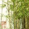 High Simulation Bamboo Partition Fence: Outdoor Zen-Style Artificial Plant Decoration
