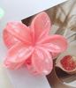 Mingyue Plumeria Gradient Hair Claw Clip