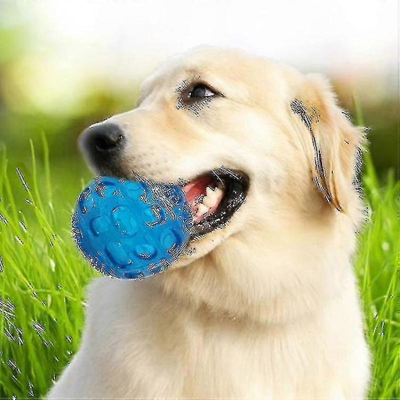 Pet Sounding Toy Elastic Ball Golden Retriever Puppy Molar Bite Resistant Tooth Toy, Size:8*8cm, WG
