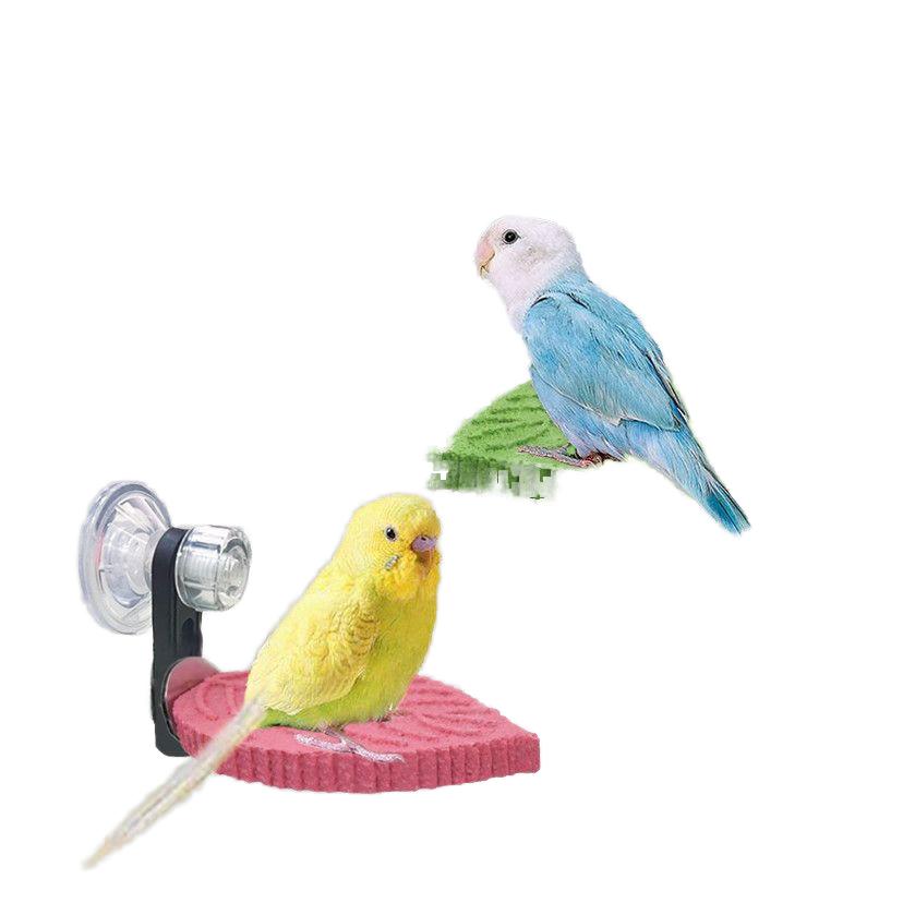 Multi-Color Leaf Textured Parrot Perch - Suction Cup Non-Slip Resin Stand & Nail Grinding Perch