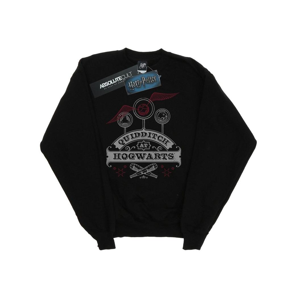 Harry Potter Mens Quidditch At Hogwarts Sweatshirt