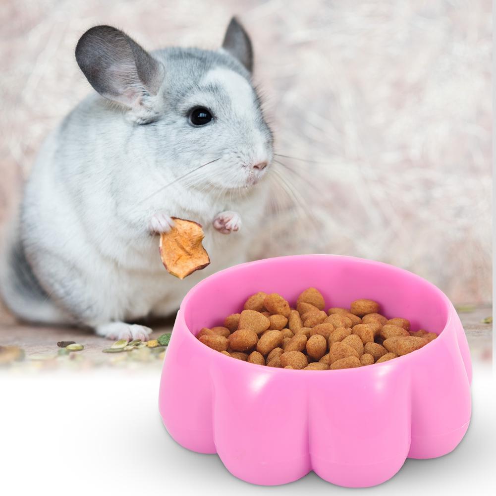 Plastic Oversize Durable Flower Food Feeding Bowl Feeder for Small Pets Hamster Rabbit Chinchilla