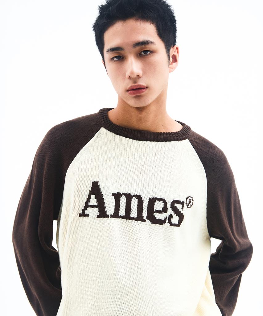 AMES-WORLDWIDE Basic Raglan Pullover Knit Brown