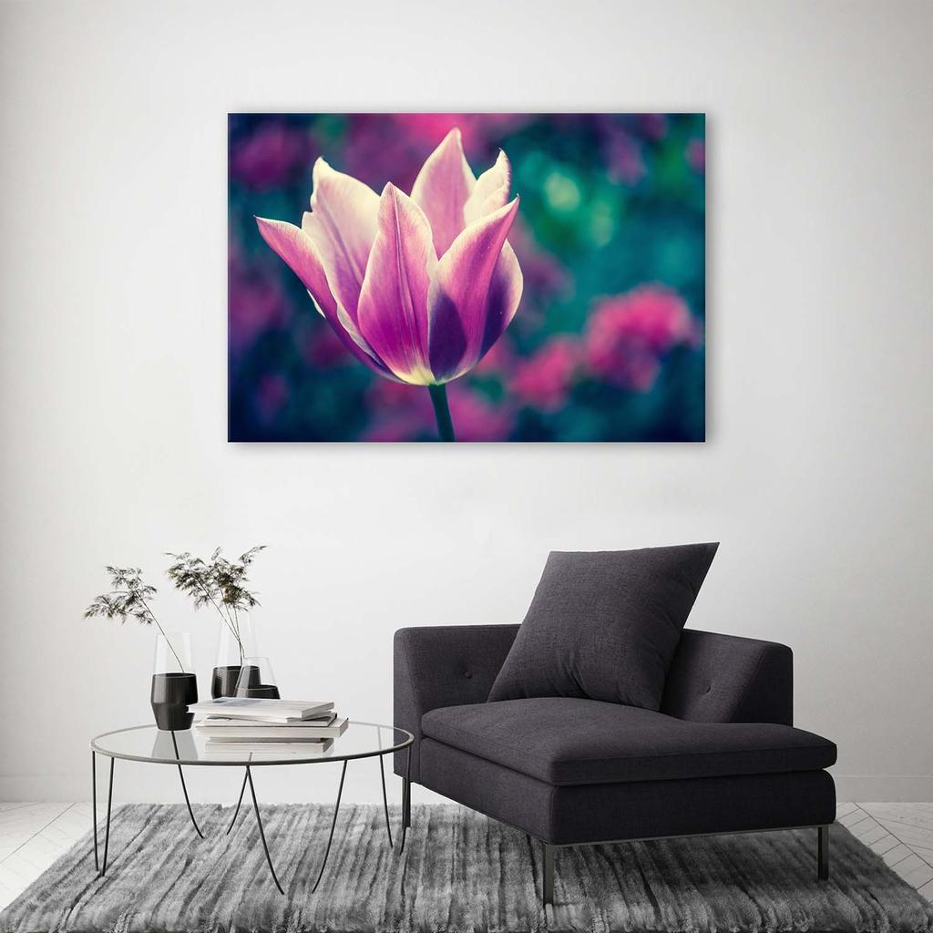 Canvas Print, Open Tulip