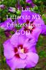 Книга 33 Love Letters To My Princess from God