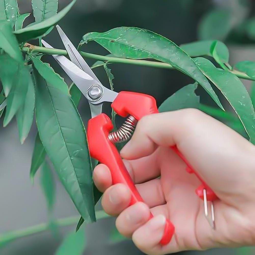 Садовые ручные секаторы Нержавеющая сталь Ножницы для сбора фруктов Маленькие ножницы Ножницы для веток в горшках для цветов Сбор фруктов
