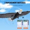 Gravity Sensing Eagle RC Flying Toys EPP Foam Remote Control Foam Fighter  Parent-child interaction