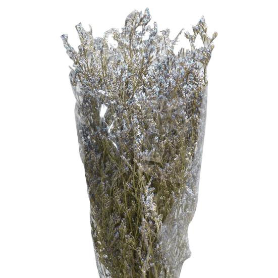 Уникальное сушеное растение, не выцветающее, художественное, фантастическое.